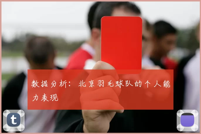 数据分析：北京羽毛球队的个人能力表现