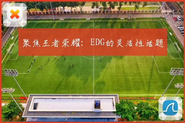 聚焦王者荣耀：EDG的灵活性话题