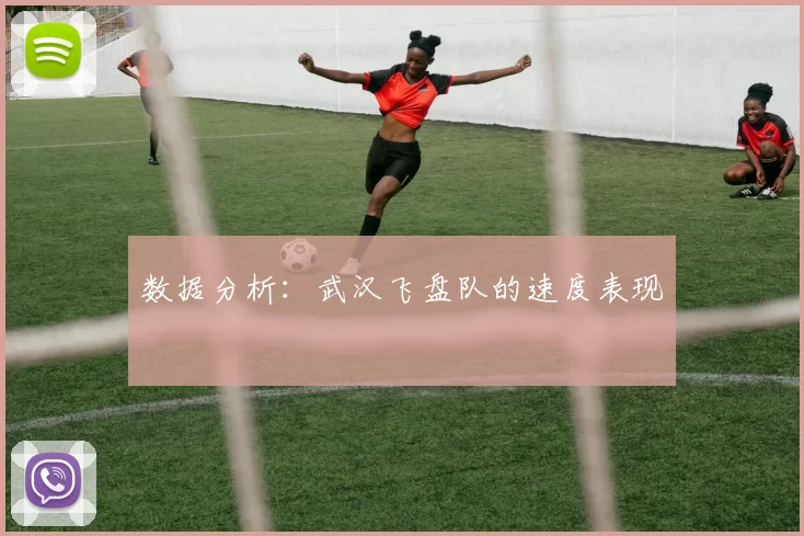 数据分析：武汉飞盘队的速度表现