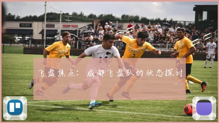 飞盘焦点：成都飞盘队的状态探讨