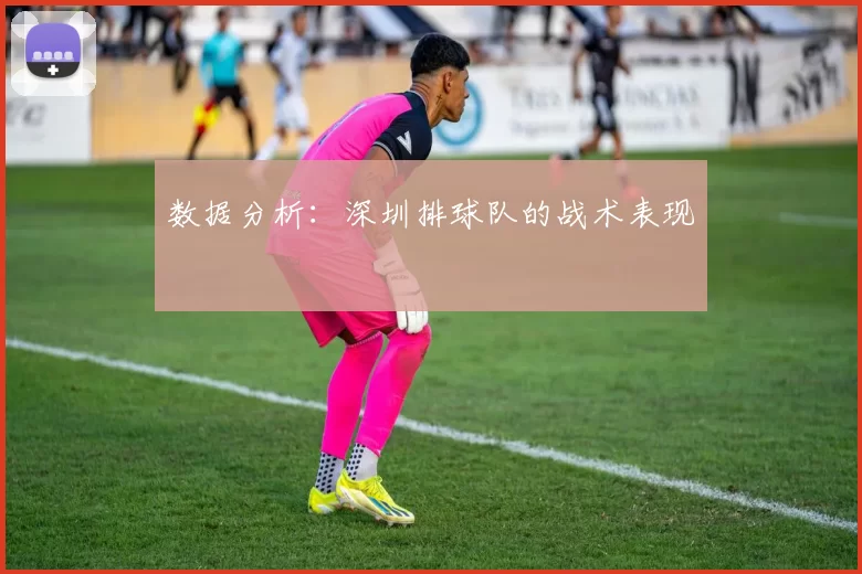 数据分析：深圳排球队的战术表现