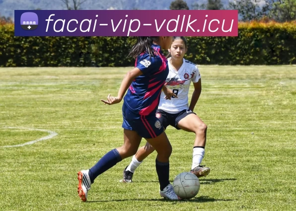 米兰体育APP 封面图